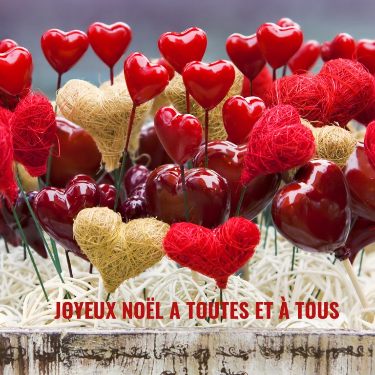 De tout coeur : un joyeux Noël à toutes et à tous | Fondation Recherche