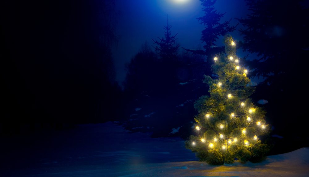 Petit sapin illuminé dans un paysage enneigé de nuit.