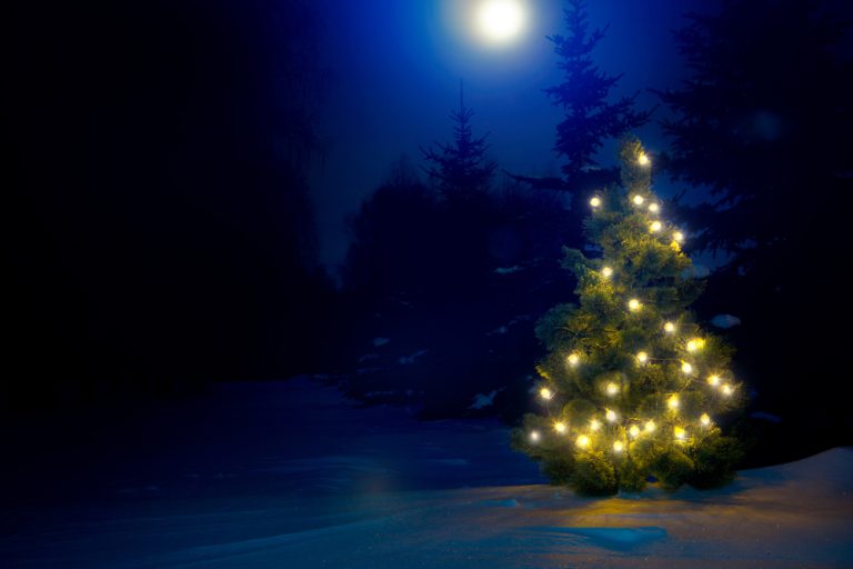Petit sapin illuminé dans un paysage enneigé de nuit.