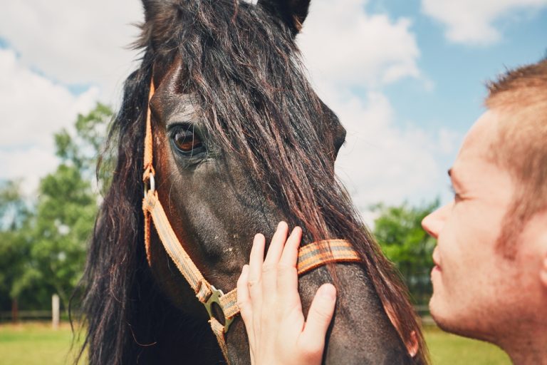 Personne caressant un cheval noir en extérieur dans un moment de connexion et de médiation animale.