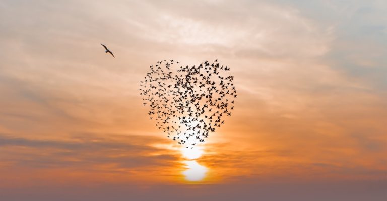 Vol d’oiseaux formant un cœur dans le ciel au coucher du soleil pour symboliser l’amour, l’espoir et la liberté.