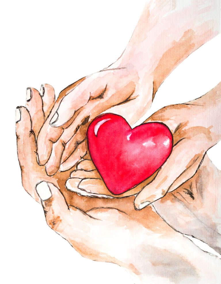 Illustration de plusieurs mains protégeant un cœur rouge symbolisant la solidarité, la bienveillance et la santé du cœur.