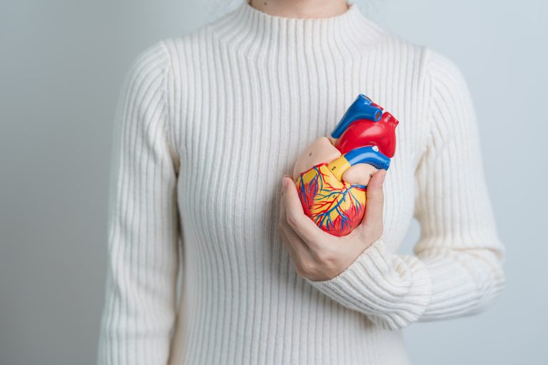 Femme tenant un modèle de cœur humain illustrant l’anatomie et le fonctionnement du muscle cardiaque.