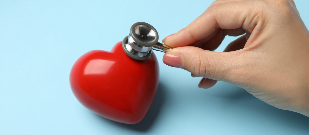 Modèle de cœur illustrant une plastie valvulaire pour réparer une valve cardiaque