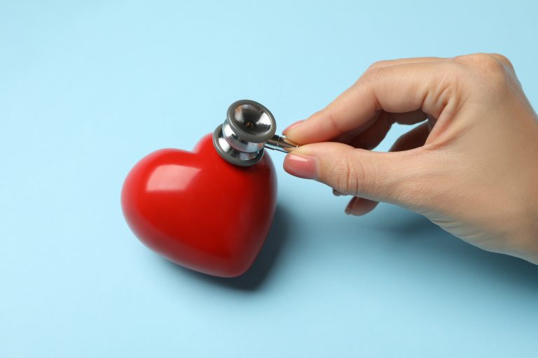 Modèle de cœur illustrant une plastie valvulaire pour réparer une valve cardiaque